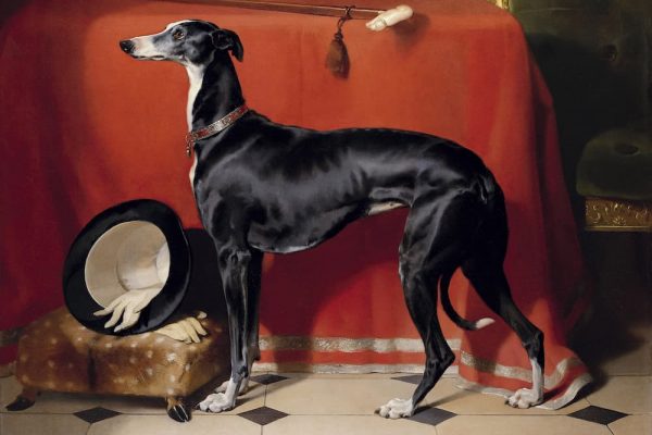 Portrait of Prince Albert's Hound, Eos, 1948