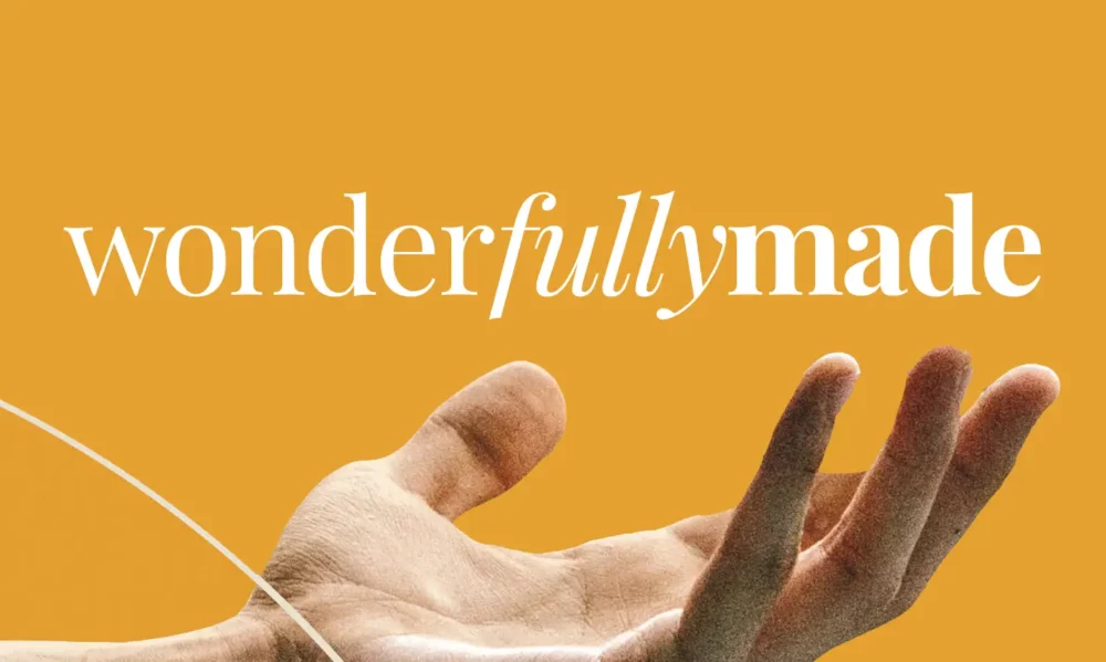 Wonderfully Made