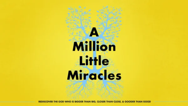 A Million Little Miracles